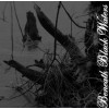 A TASTE FOR DECAY "Beneath Black Waters" cd A TASTE FOR DECAY "Beneath Black Waters" cd